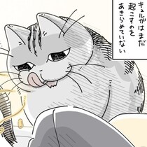 【ネコ漫画】飼い主が起きるのを待つ愛猫!?その姿に「すごいわかる！」「圧がすごいな」などの共感コメントが多数