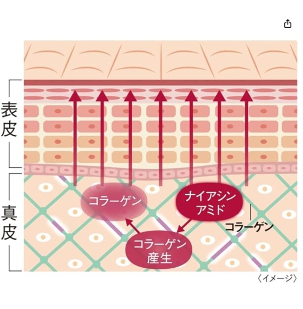 スクリーンショット 2025-12-01 191350