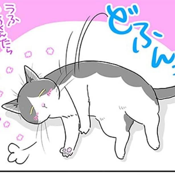 長い猫、はじめました