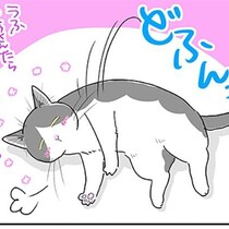 「贅沢猫っ！」暑くなったら伸びて寒くなったら飼い主の膝の上で温度調節!?…何してもかわいいから許されちゃう【作者に聞く】