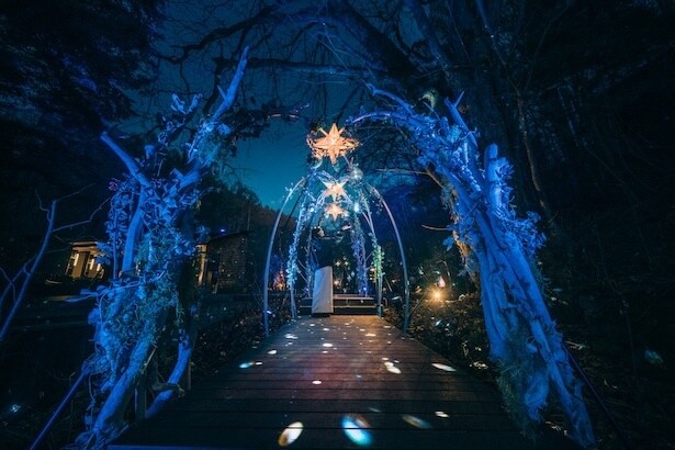 【写真】夜空の星屑を歩くような没入感が味わえる「星屑のトンネル」を通ってリンクへ