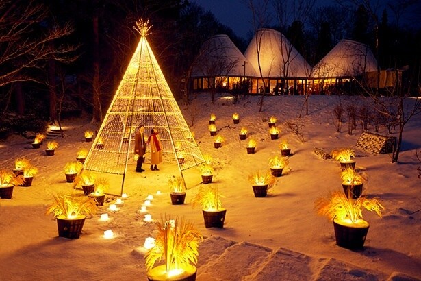 稲穂の黄金色が輝くイルミネーション