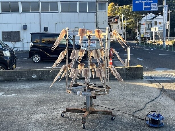 呼子と言えばイカ！