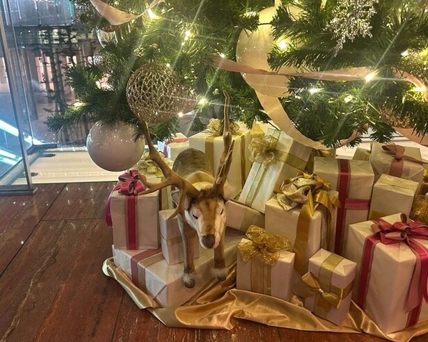 ツリーをよく見るとトナカイも