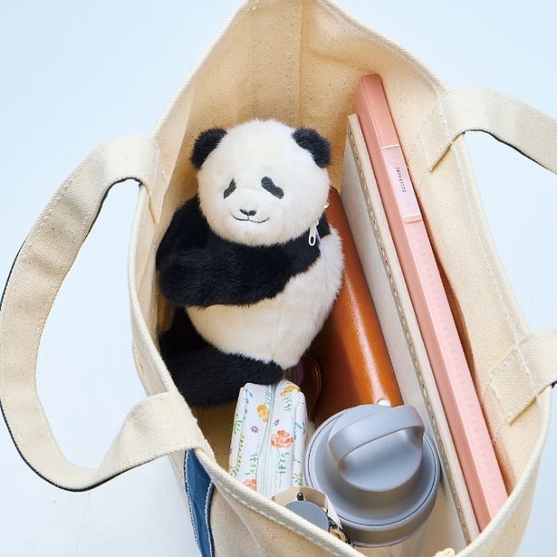 バッグにも入りやすいサイズで取り出すたびにつぶらな瞳と目が合うのもキュート