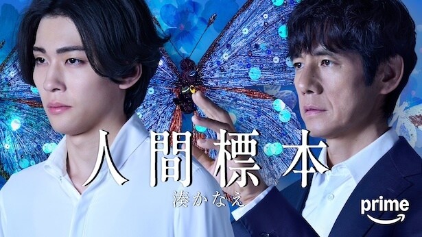 『人間標本』のメイン写真