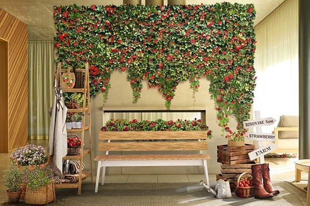 【写真】いちご農園をイメージした空間