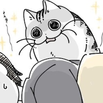 【ネコ漫画】子猫のような鳴き声で飼い主を起こす猫!?その様子に「わかります！」などの共感コメント＆10万いいね
