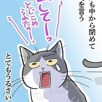 【ねこ漫画】猫好きにはたまらない！開けたのに出られない!?ドアを開ける猫の大迷惑な大騒動がかわいすぎる【作者に聞く】