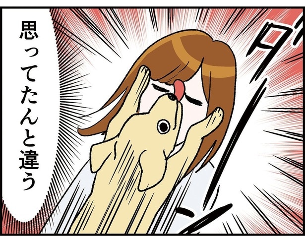 癒されたくてカフェに入った結果5