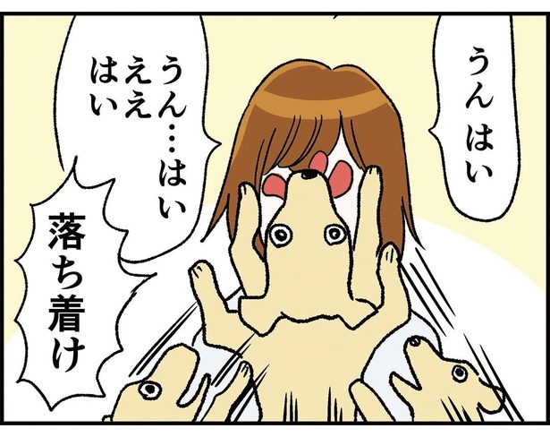 癒されたくてカフェに入った結果6