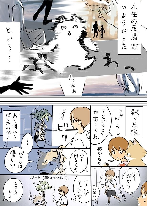 ■画像をクリックで次へ！／夫の見た幽霊④_病院のベンチの感情の名残り_P5