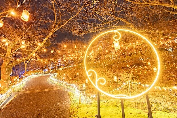 ゆらゆらランタンが揺れる「光の森」。暖色系のイルミにほっこり癒やされる