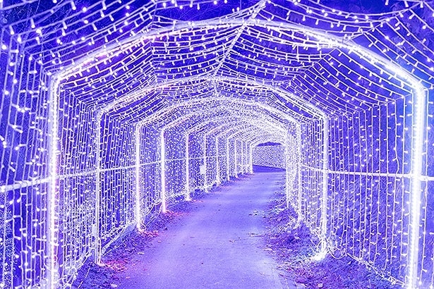 全長150メートルの「光の大トンネル」。360度イルミネーションに囲まれたトンネルは、光の中に吸い込まれていくような感覚になる