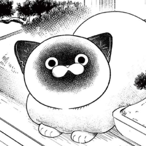 『オヤジとにゃん吉』初戦「出会い」