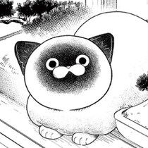 「己の庭でデカイ顔するな！」伝説の元極道が激怒。組長をオモチャにする“野良猫”の正体【作者に聞く】