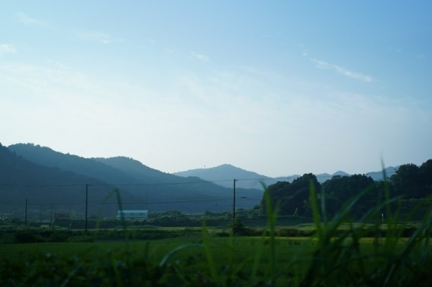 母屋「栄の間」。竹山から吹き下ろす風が心地いい