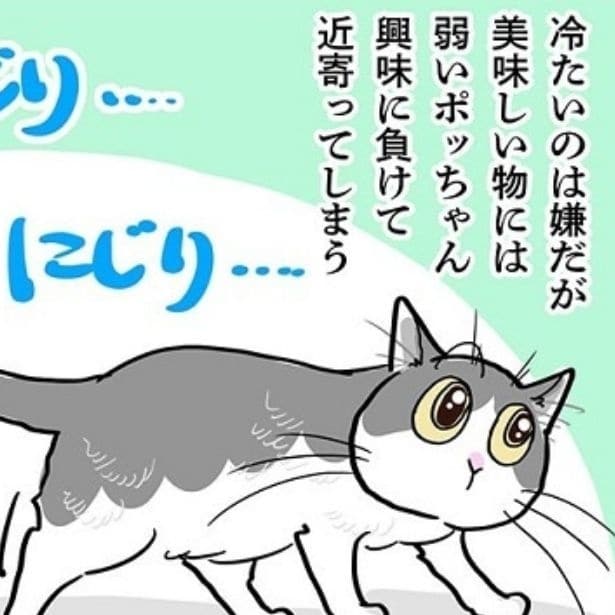 冷たいのは苦手だけど興味に負けてしまったポッちゃん