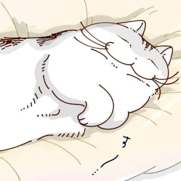 こたつ布団で気持ちよさそうに寝る猫