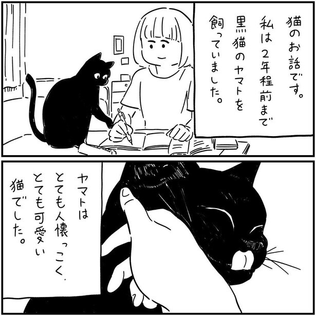 猫のヤマト(2)