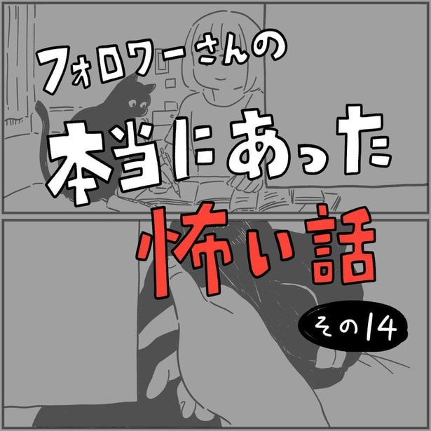 【漫画】黒猫が会いにきた理由とは?