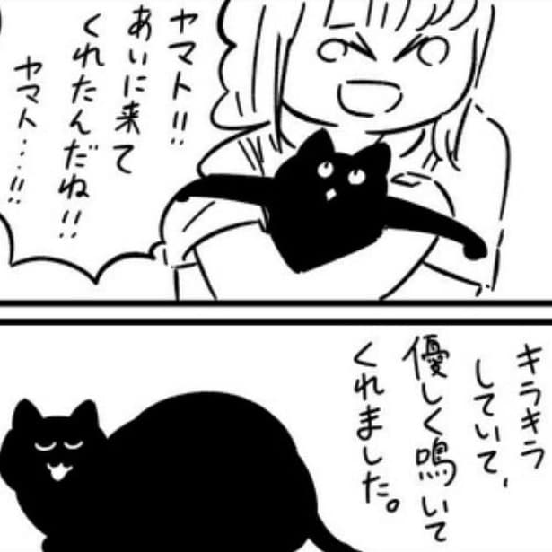 夢のなかでついに戻ってきてくれた愛猫ヤマトだったが…。