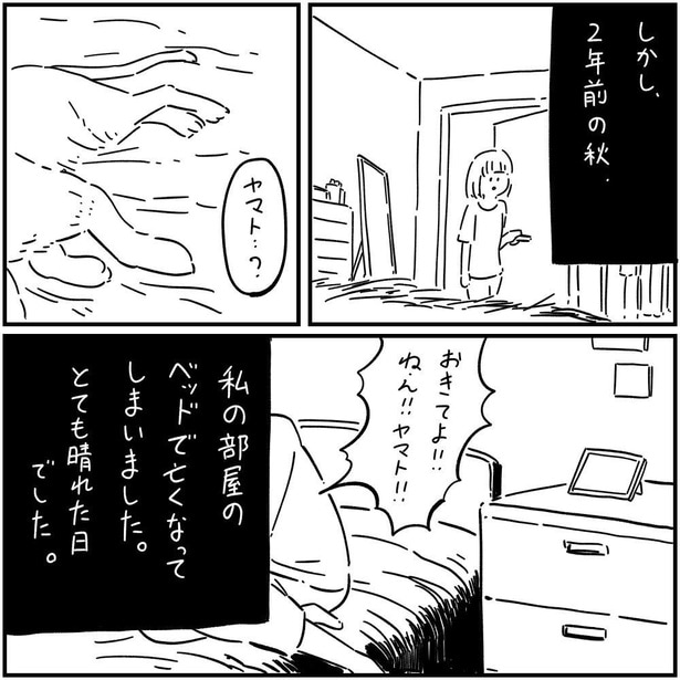 猫のヤマト(3)