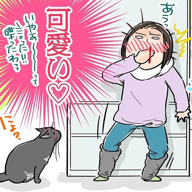 か、かわいすぎ!!愛猫がしゃべった「言葉」とは？