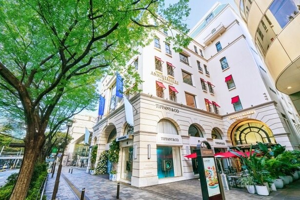 現在「アニヴェルセルカフェ 表参道」では「ANNIVERSAIRE Christmas 2025」を開催中。イルミは2026年2月14日(土)まで開催