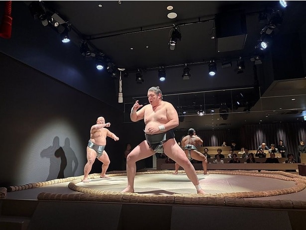 「四つ身の型」など組み合いの姿勢も紹介されるので、初心者も安心