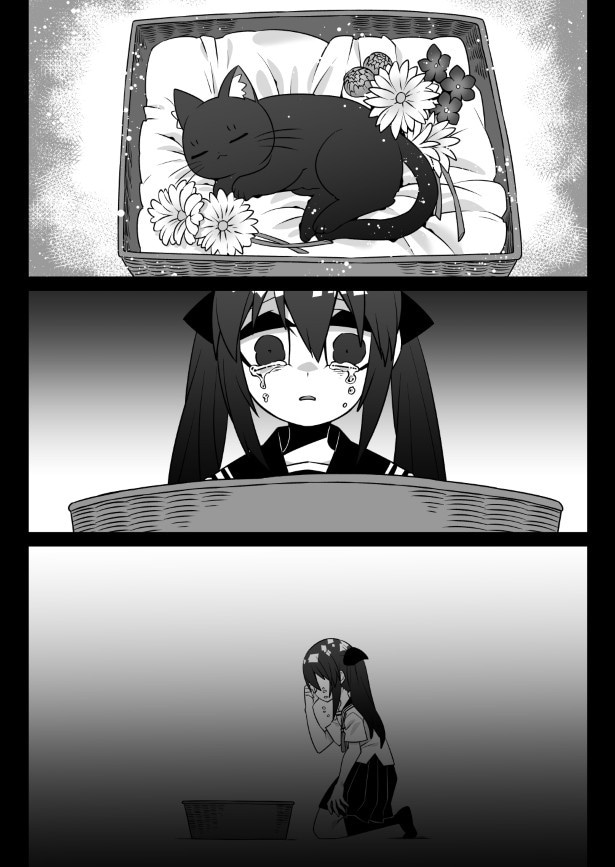 愛猫を亡くしてから立ち直れずにいた女子高生のもとに新しい“猫”が来た!?