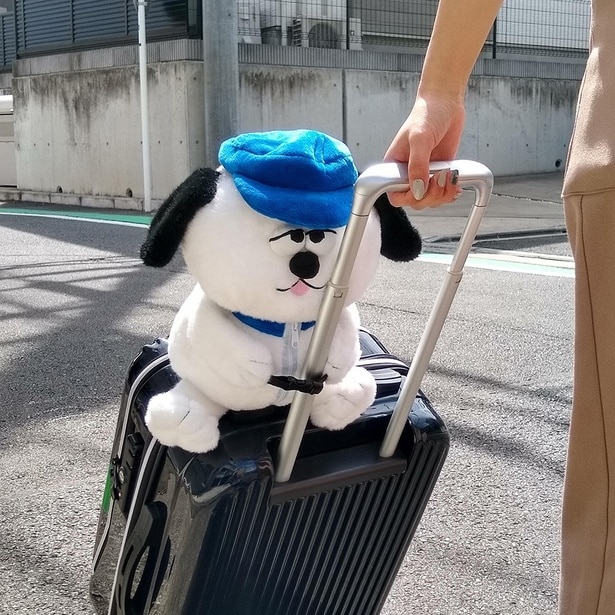 スヌーピーが「旅につれてって！」と抱きつく！年末年始の移動が楽しくなるPEANUTSトラベルグッズ3選