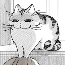 【ネコ漫画】飼い主の頭に前足を乗せる愛猫!?その仕草に「頭に乗るは夢」「あるある」などの共感コメントが続出