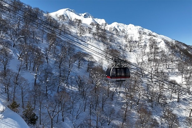 【写真】雪景色の中を空中遊覧するロープウェイ
