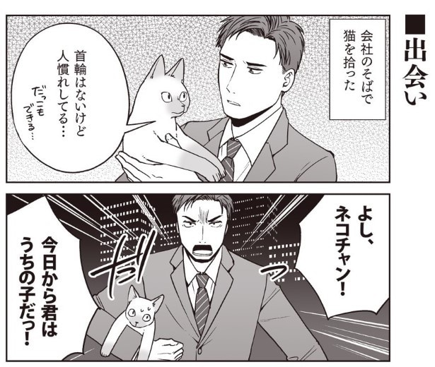 どこかで猫を拾うことがあったら、そのときは飼おうと心に決めていた