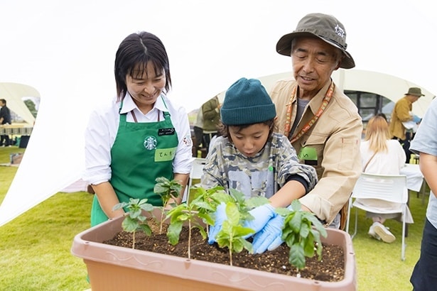 寄せ植えにも挑戦
