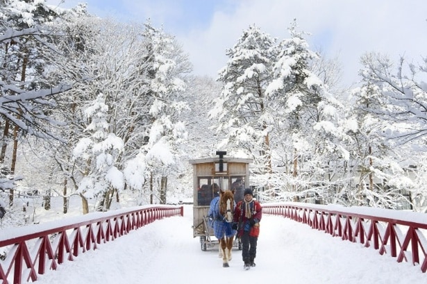 【写真】雪化粧した公園を巡る「ストーブ馬車」