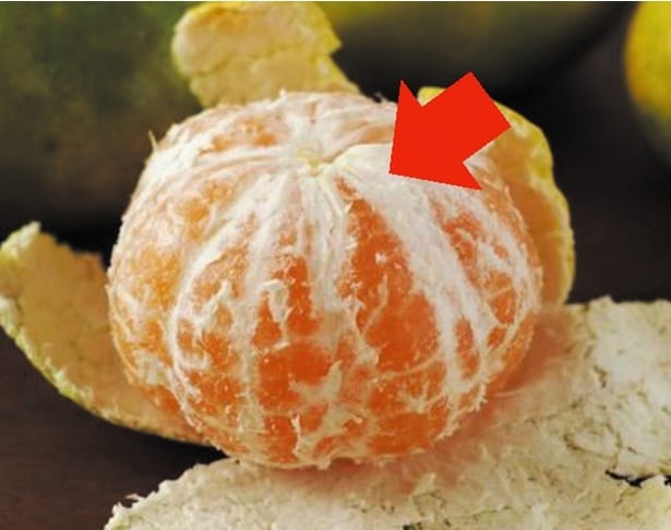 みかんに付いている白い筋状の「アレ」。正式名称、言えますか?/年末年始は雑学三昧