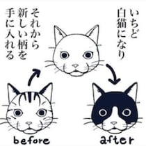猫が死んだら白猫に戻る理由とは？「シロップ」で新しい柄を染める天国の転生システム！作者が語る「いつか帰ってくるかも」という希望