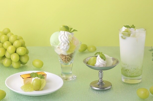 9月9日からシャインマスカットフェアを実施