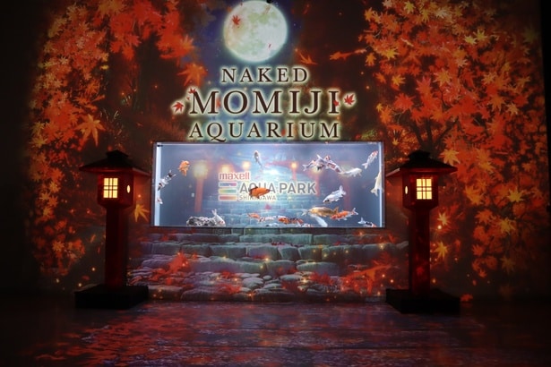 エントランス演出展示「舞紅葉の物語」