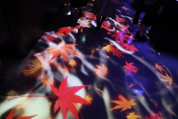 足元も紅葉の舞い落ちる情景へ