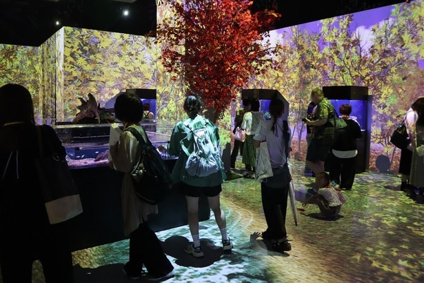 水槽エリアが秋の庭園を思わせる空間に