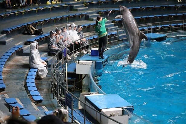 スプラッシュタイム