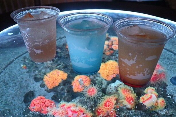 茜茶屋(コーラルカフェバー)で購入した飲食物は店舗前の水槽テーブルで食べることもできる(サンセットカシオレ(550円・写真左)、オーシャンブルーカルピス(550円・写真中央)、サンライズドライジンジャー(550円・写真右))