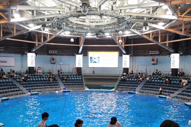 LEDビジョンを導入した「ザ・スタジアム」