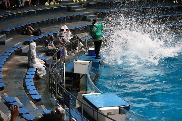 最前列は水被り必至