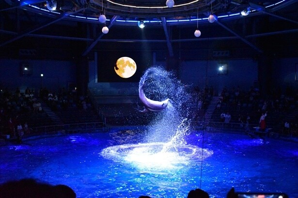 夜の演目「月華紅葉」