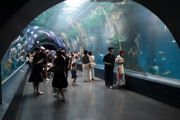 海中トンネル「ワンダーチューブ」