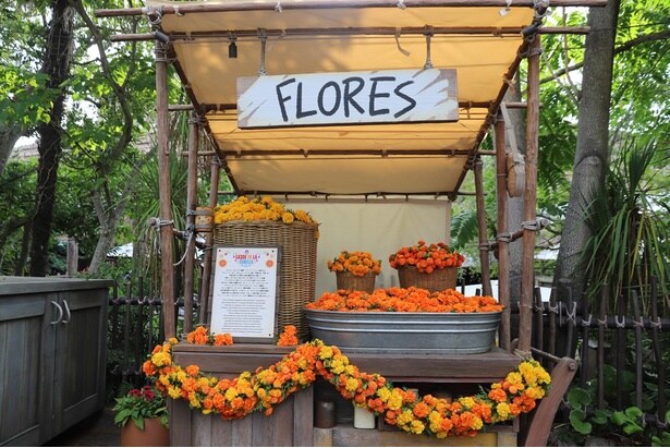 ロストリバーデルタのあちらこちらで、マリーゴールドのデコレーションを目にできる